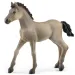 Schleich: Puledro Criollo Definitivo figura (13949)
