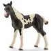 Schleich: Puledro Pinto figura (13803)