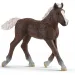 Schleich: Puledro della Foresta Nera (13899)