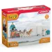 Schleich: Wild Life - Set di gioco Spedizione in Antartide con figure e slitta trainata da cani (42558)