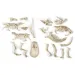 Science&amp;Play: Archeofun T-rex e Triceratops luminosi set da archeologo - Clementoni