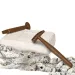 Science &amp; Play: Set archeologico fluorescente Piranha - Clementoni