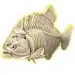 Science &amp; Play: Set archeologico fluorescente Piranha - Clementoni