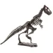 Set archeologico di dinosauro in diverse varianti, 1 pezzo