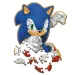 Sfida lampo di Sonic – Puzzle in legno da 50 pezzi - Trefl