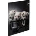 Spirit: Cartella in cartone gommato per cuccioli A4 600g