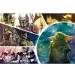 Star Wars: The Mandalorian puzzle da 100 pezzi - Trefl