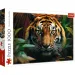 Tigre nel selvaggio puzzle HQ da 1000 pezzi - Trefl