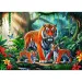 Tigri nella giungla puzzle da 200 pezzi - Trefl