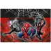 Tovaglia di plastica Spider-Man e la sua squadra 120 x 180 cm