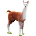WOW Junior piccolo puzzle lama 100 pezzi