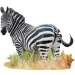WOW puzzle 1000 pezzi con zebra