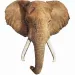 WOW puzzle elefante gigante da 700 pezzi