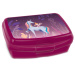 Ars Una: Magic Forest lunch box viola