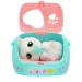 Baby Paw – Gattino immagine 2