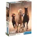 Cavalli al galoppo puzzle da 1000 pezzi con poster - Clementoni
