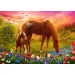 Cavalli nel prato puzzle 500 pezzi - Trefl immagine 2