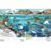 Che interessante è il mondo... Album di adesivi sui dinosauri immagine 2
