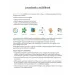 Girasole: Ci stiamo preparando per la scuola - per bambini di 3-4 anni immagine 2