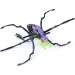 Hex Bots: Skitter Bot robot ragno interattivo – verde-viola - Spin Master immagine 3