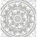 Mandala e colorare - Animali selvatici immagine 2