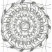 Mandala e colorare - Animali selvatici immagine 3