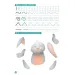 Minitanoda - Attività di preparazione scolastica per bambini della fascia centrale immagine 2