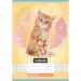 Nebulo: Quaderno a righe di 2° classe A5 16-32 Animali - Gattini