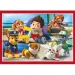 Paw Patrol puzzle 4 in 1 - Clementoni immagine 5
