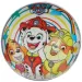 Paw Patrol BioBall pallone di gomma 23cm immagine 2