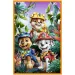 Paw Patrol Isola dei Dinosauri - puzzle da 3 x 80 pezzi - Trefl immagine 3