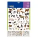 PlayBox: Adesivi animali 300pz