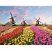 Puzzle con diamanti: Set di pittura con diamanti campo di tulipani olandesi 30x40cm immagine 1
