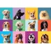 Puzzle di 300 pezzi di facce di cani felici - Clementoni immagine 2