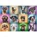 Puzzle di 1000 pezzi con ritratti di cani divertenti - Trefl immagine 2