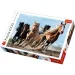 Cavalli al galoppo puzzle premium da 1000 pezzi - Trefl immagine 1