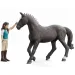 Schleich: Horse Club Lisa & Storm set di gioco (42712) immagine 3