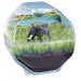 Science & Play: Mini elefante terrario set di gioco - Clementoni immagine 2